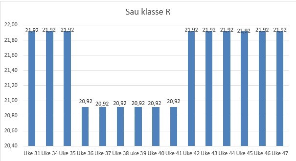prisloype-sau-2025