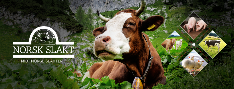 god-sommer-facebook-