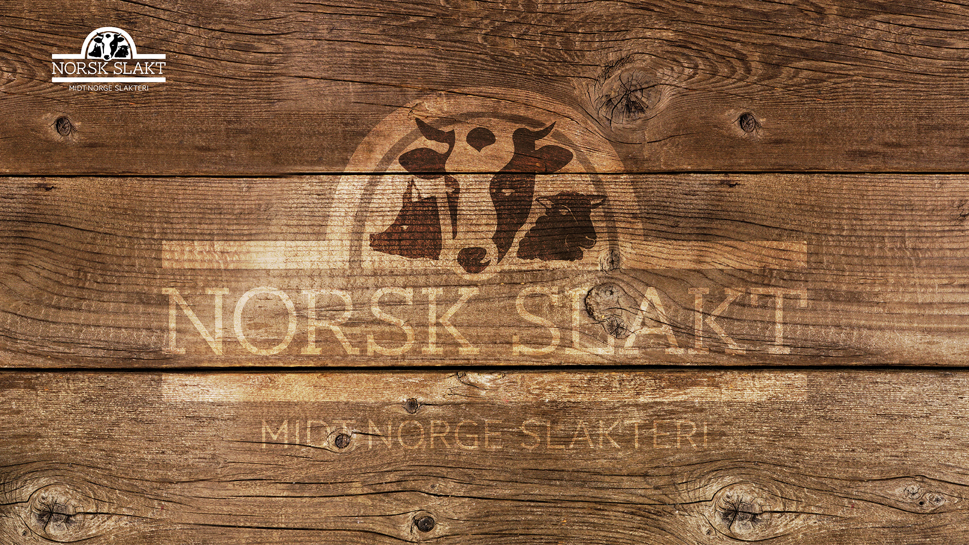 mns-teams-1920x1080px-10