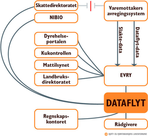 dataflyt