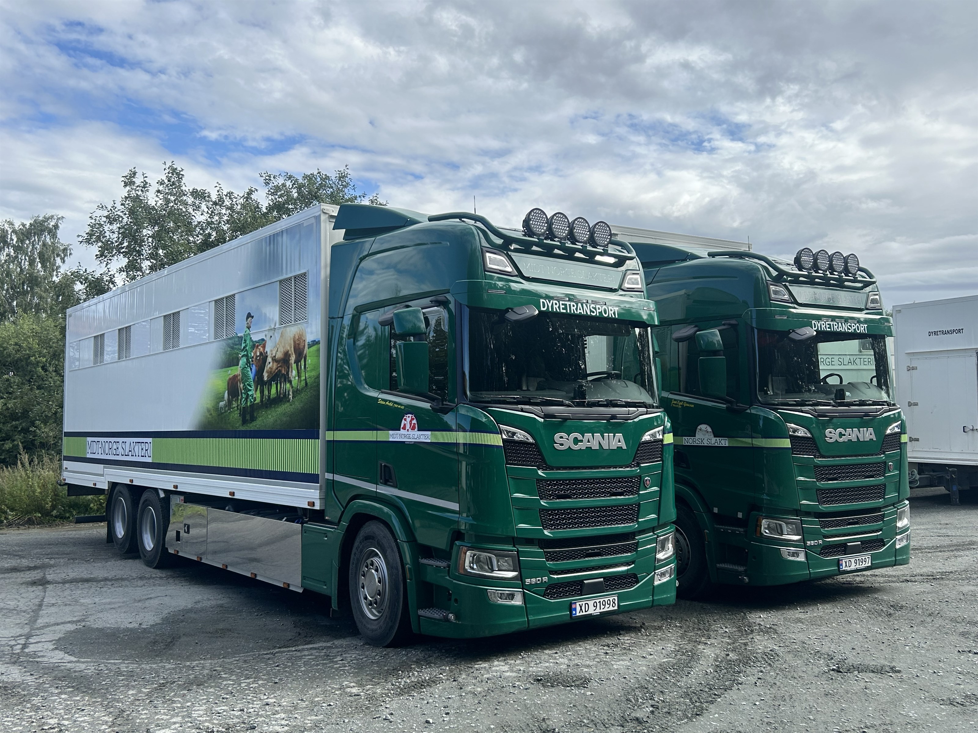 nye-biler-gausen-skjetnemark-3