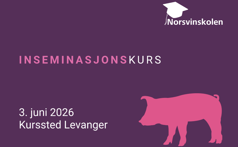 skjermbilde-2026-04-28-124046