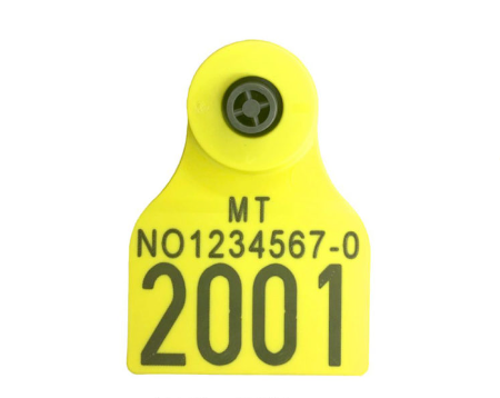 skjermbilde-oremerke