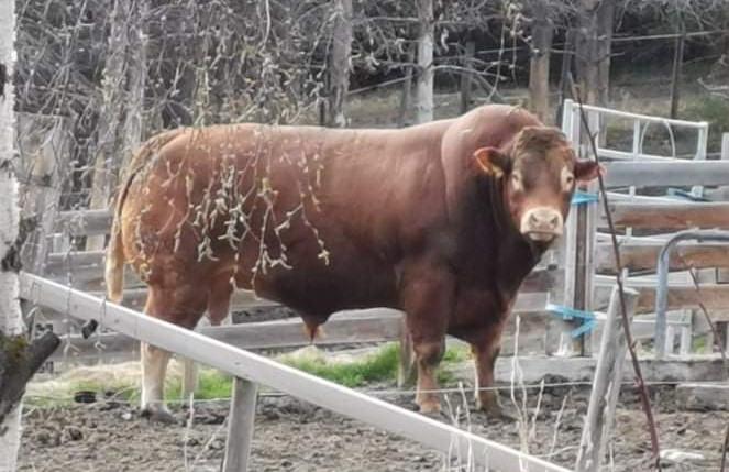 received_393308798844461