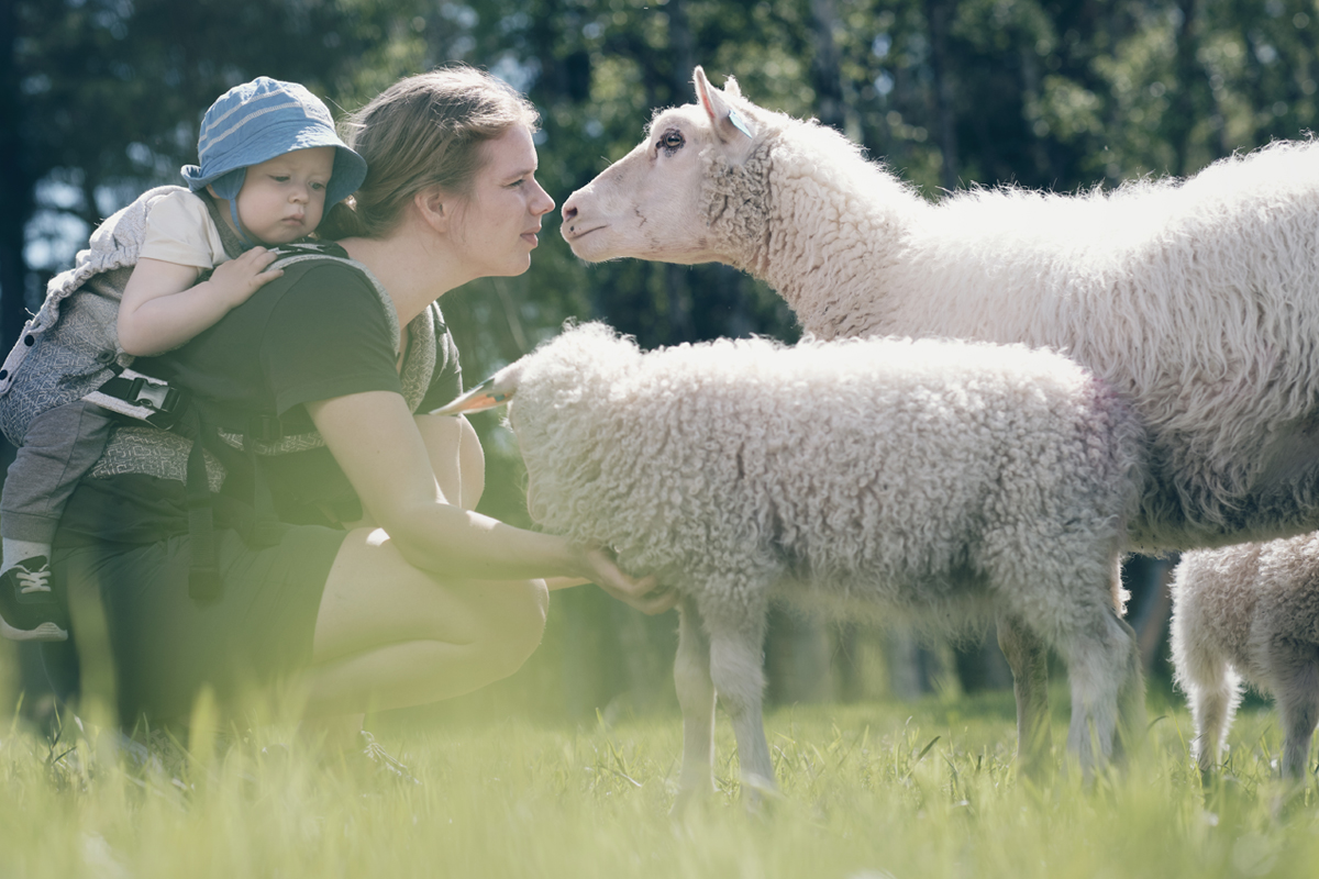 sauemerkekampanje_2021_4