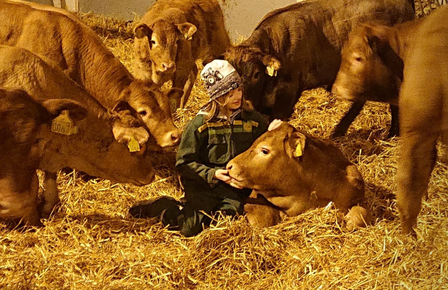 screenshot_20200112-123300