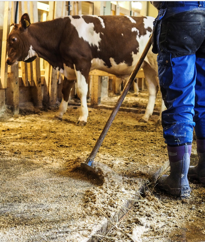 skjermbilde-2026-04-21-083413